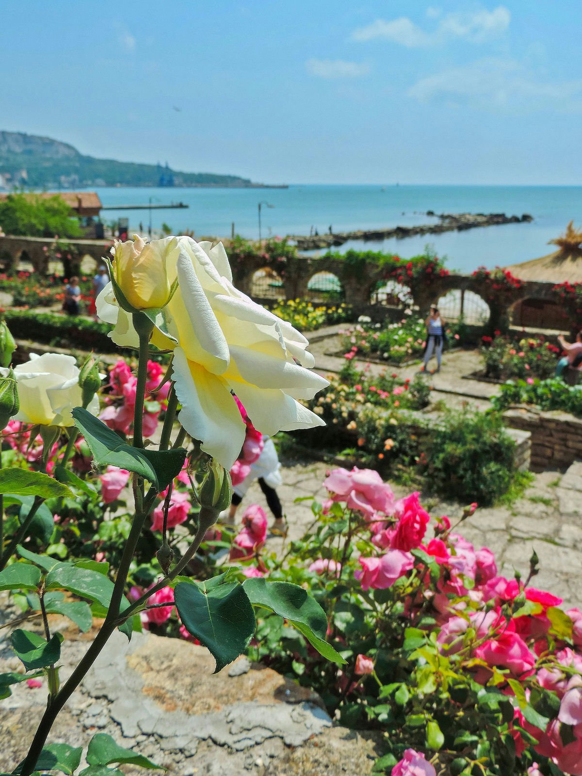 top things to do in balchik Bulgaria