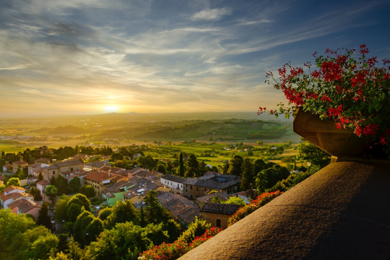 Discover Cesena