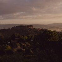 terni