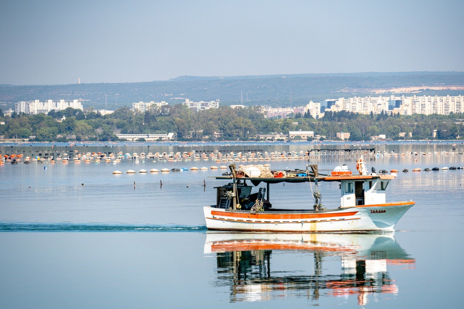taranto