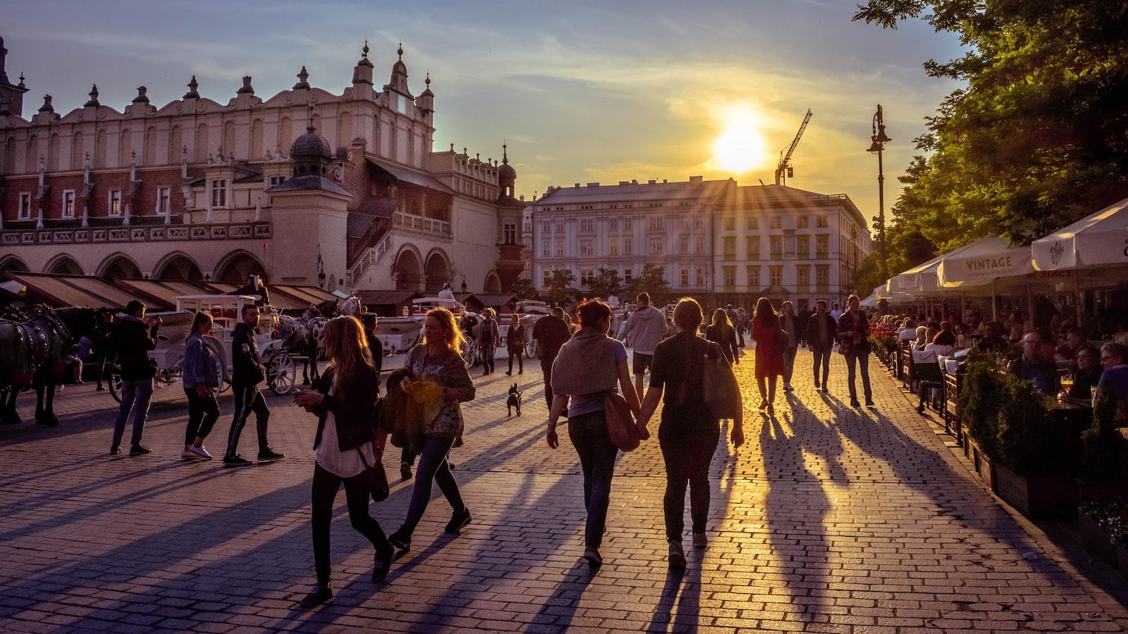 what to know about krakow