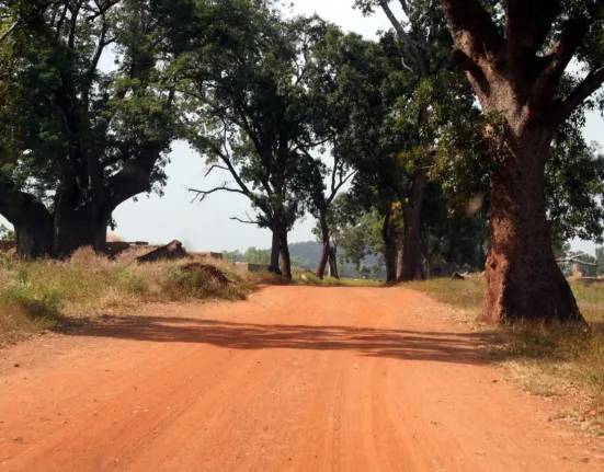 Budget Travel In Burkina Faso: How To Travel On The Cheap Budget