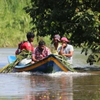 What To Know Before Visit Guyana