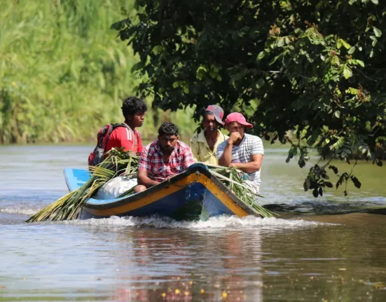 What To Know Before Visit Guyana