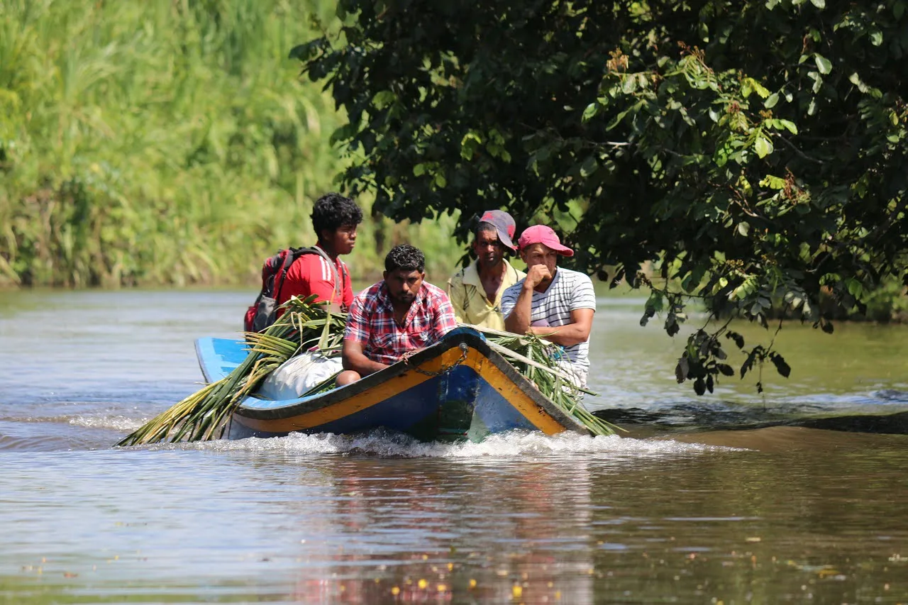 What To Know Before Visit Guyana