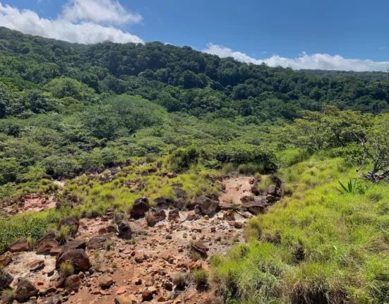 green trees on mountain under blue sky during daytime