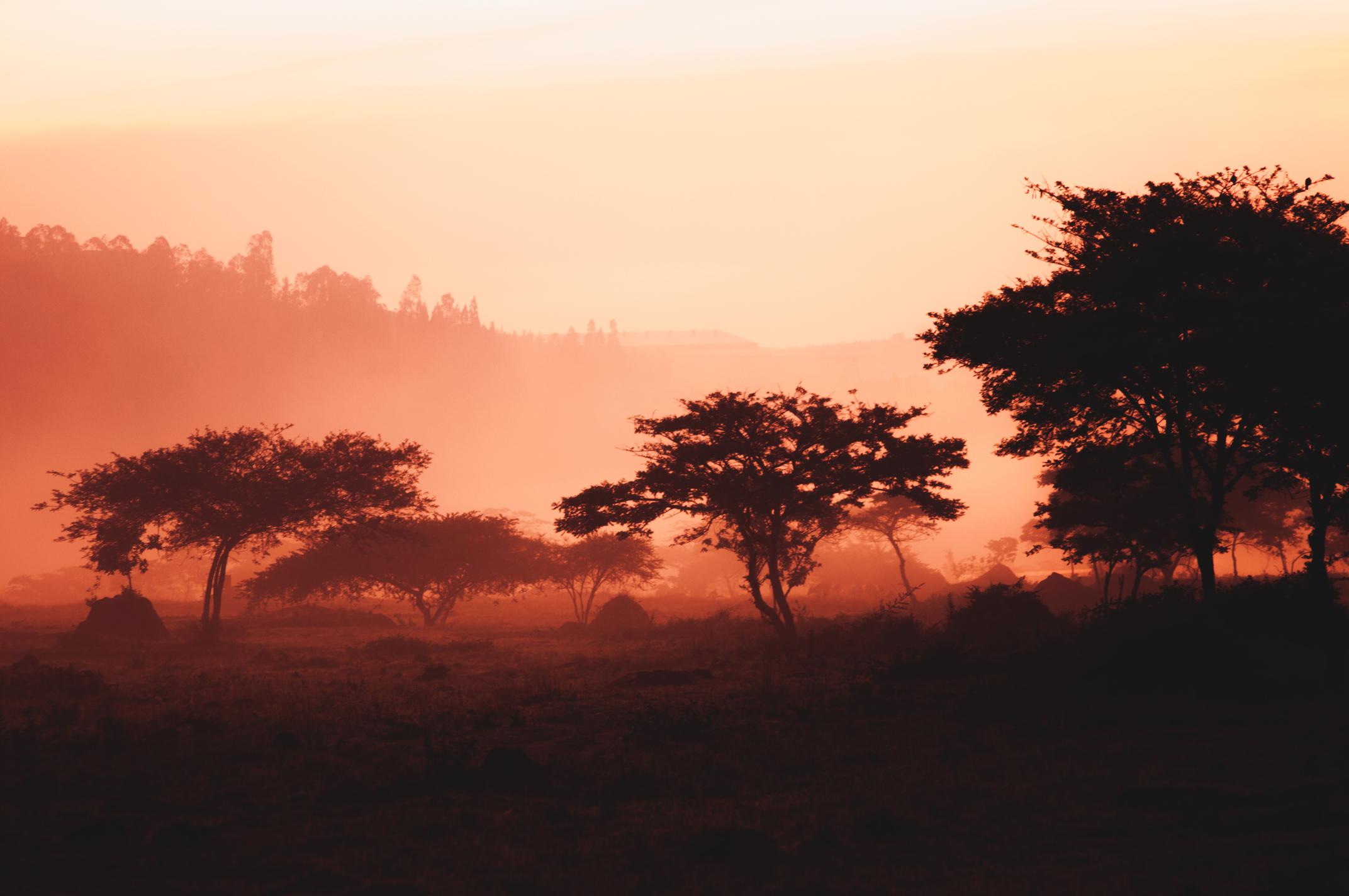 Rwanda Rwanda