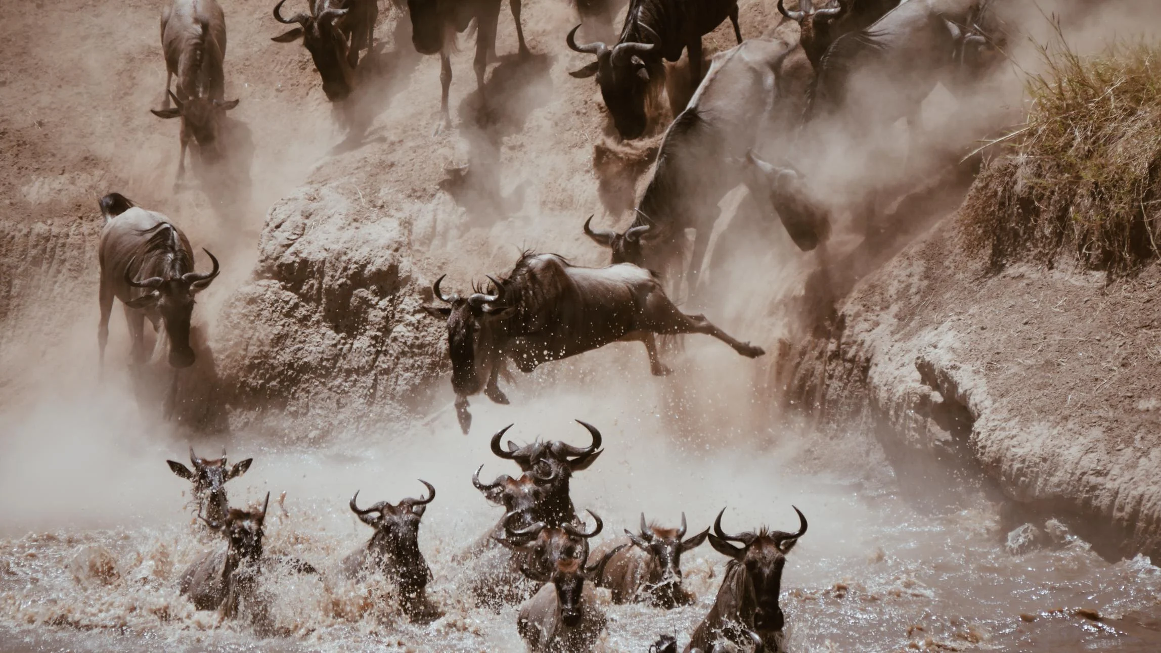 Tanzania Tanzania