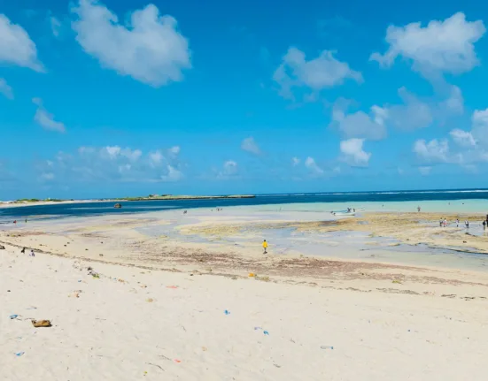 a beach with people on it