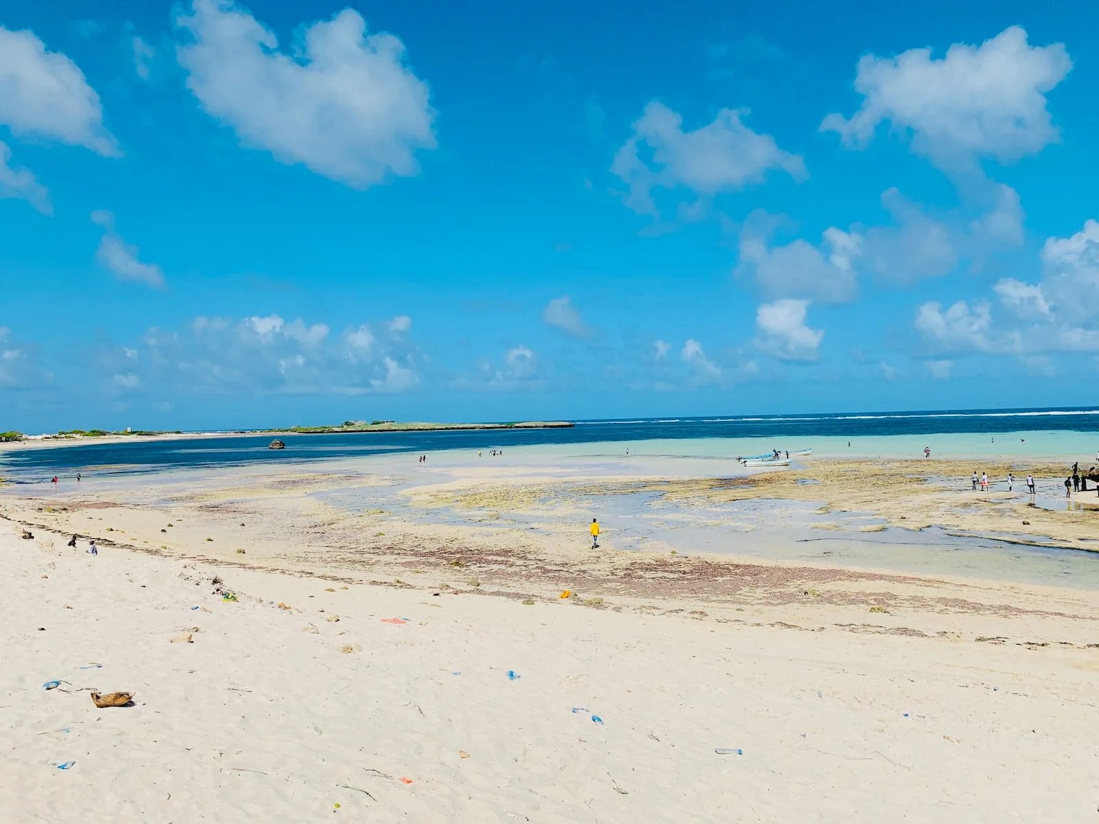 a beach with people on it