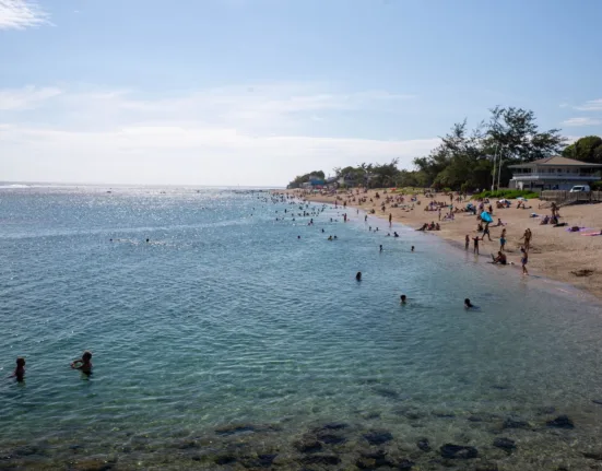a group of people swimming in a body of water