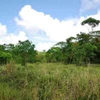 Things To Know Before Visiting French Guiana 16 Matoury