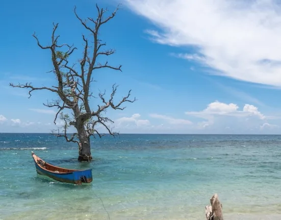 brown wooden boat on beach during daytime
