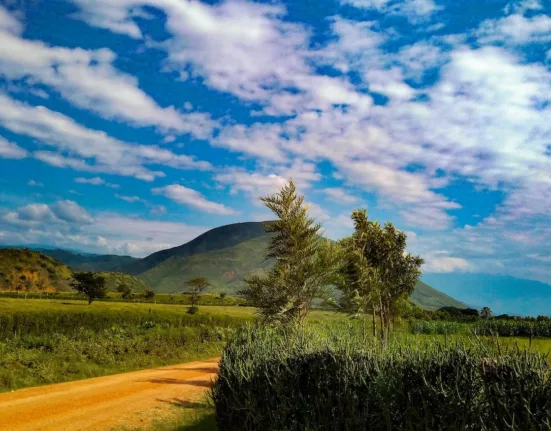 How Risky Is It To Visit Uganda?