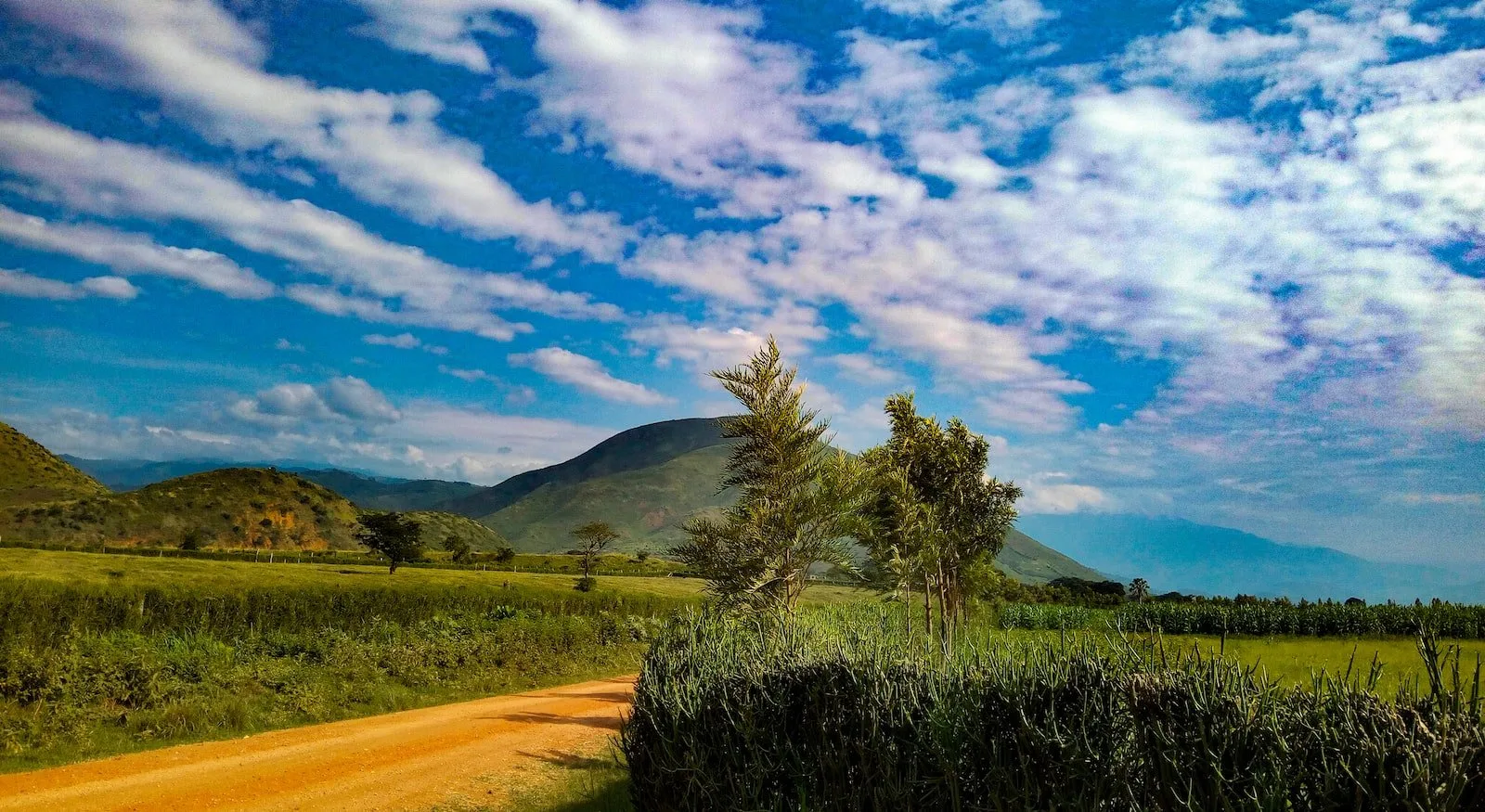 How Risky Is It To Visit Uganda?