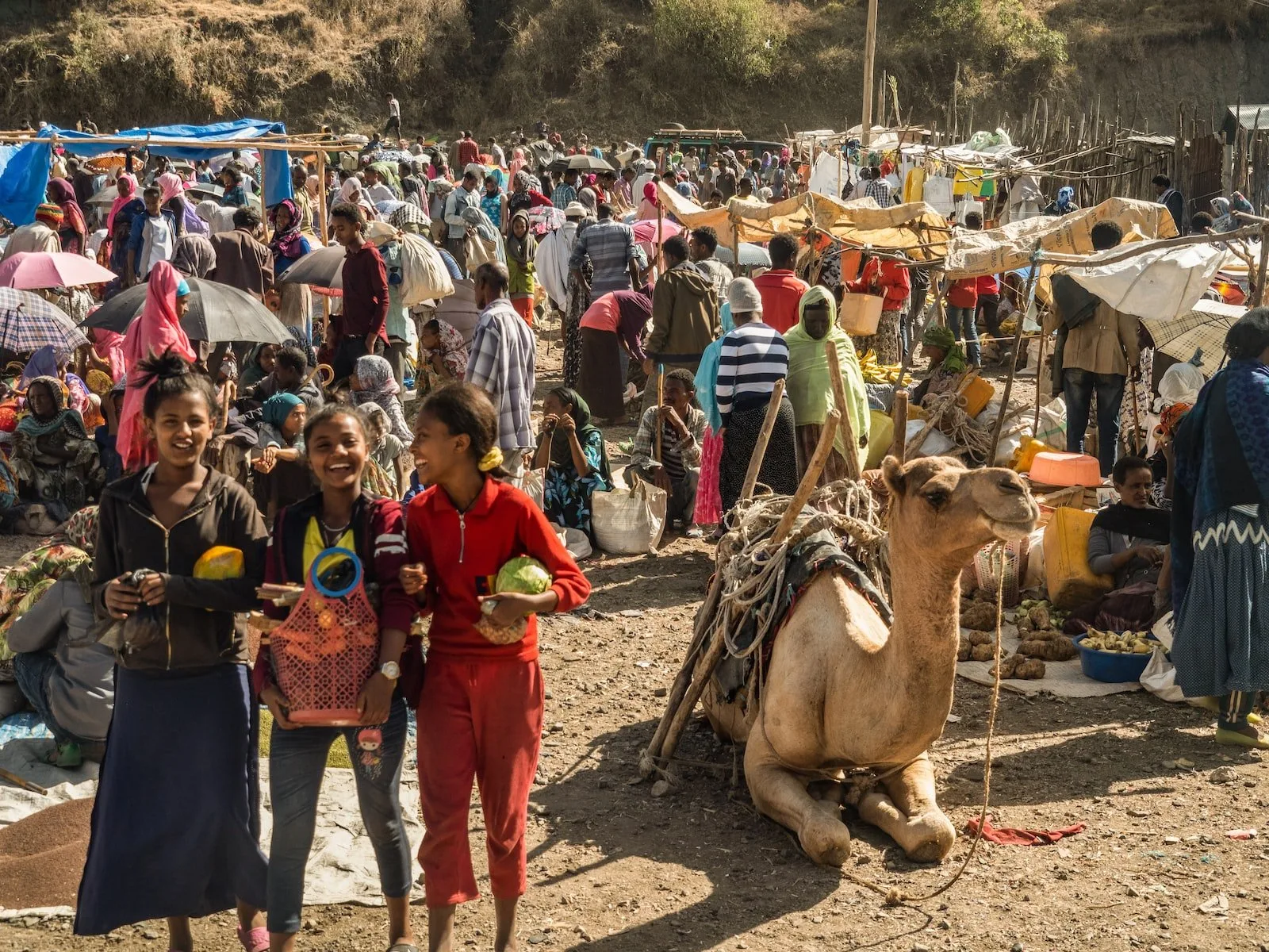 Is Ethiopia Expensive? The Real Cost Of Travel