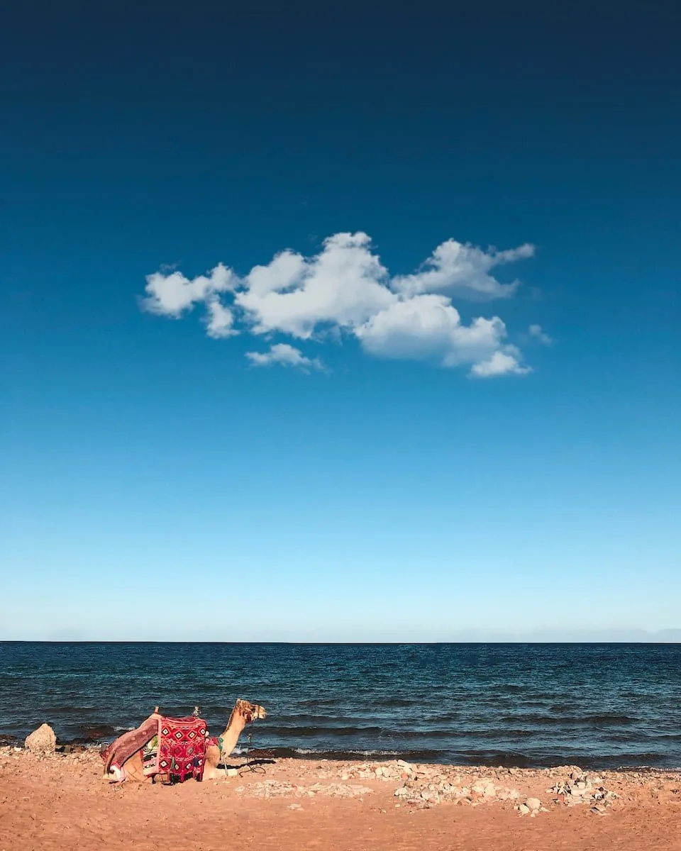 Tunisia