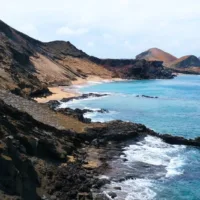 brown and green mountains beside body of water during daytime