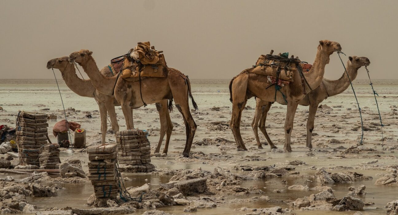 Is It Safe To Travel To Ethiopia?