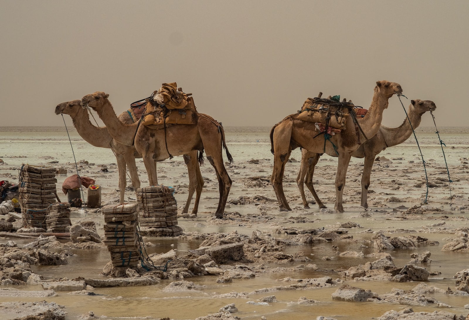 Is It Safe To Travel To Ethiopia?