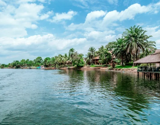 green trees beside body of water under blue sky during daytime