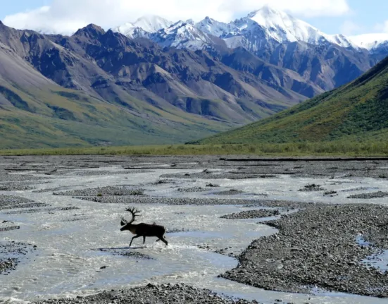 What To Know Before Visiting Alaska