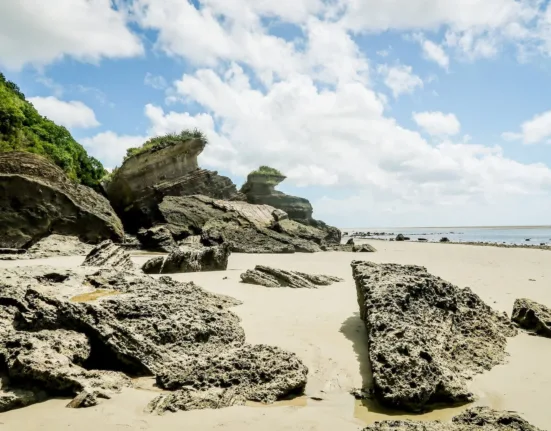 gray rock formation on sea shore during daytime
