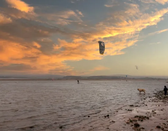 people on beach during sunset