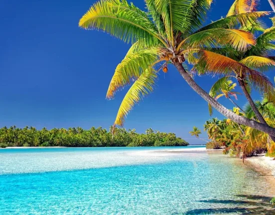 cook islands, beach, palm trees