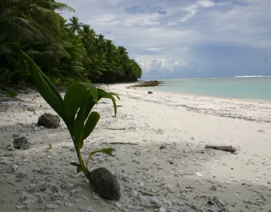 swains island, american samoa, sea