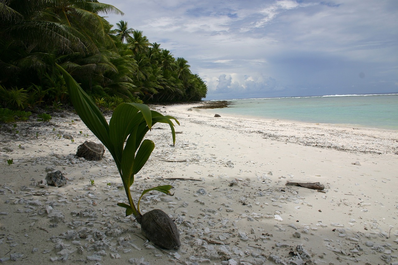 swains island, american samoa, sea