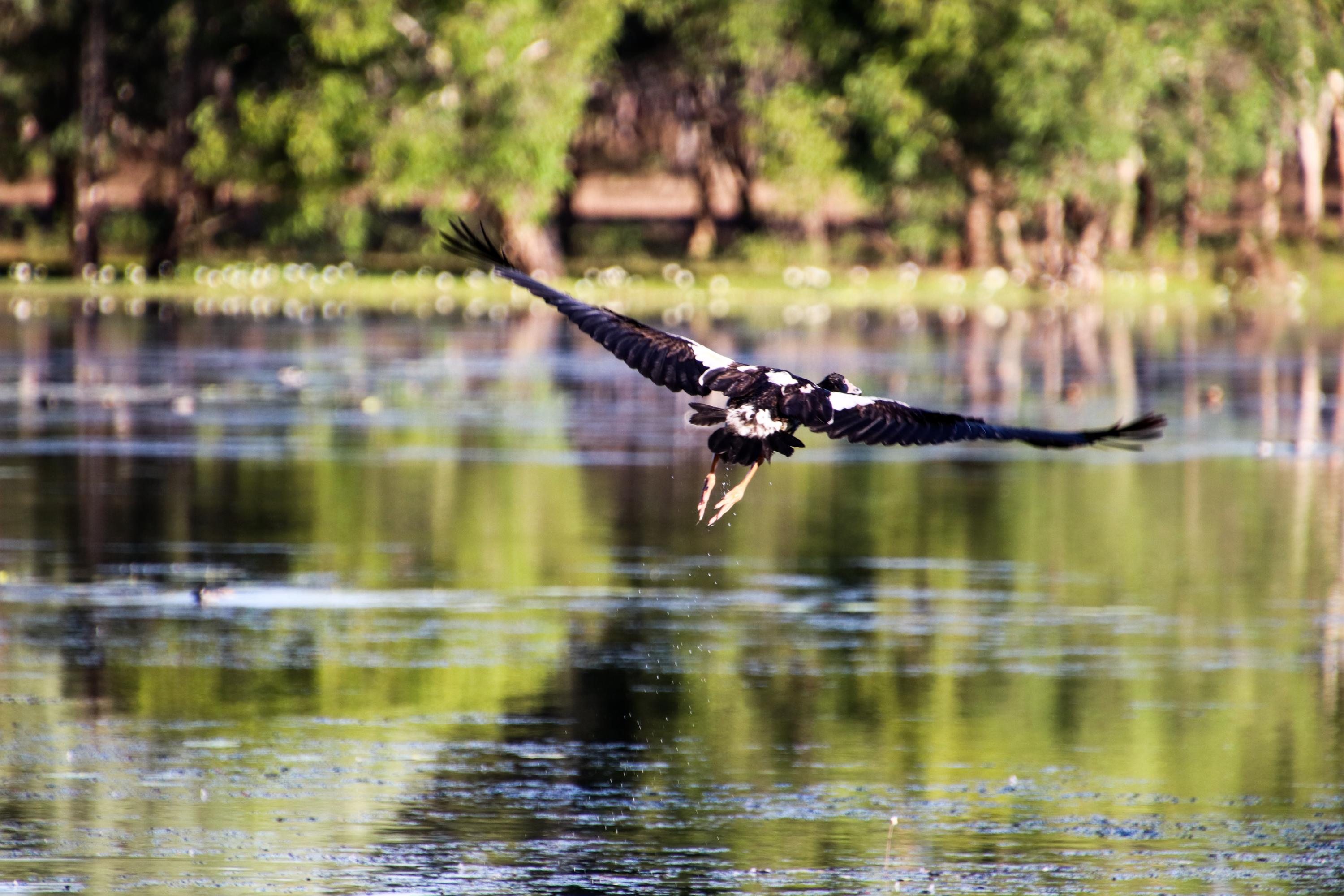 Northern Territory Australia