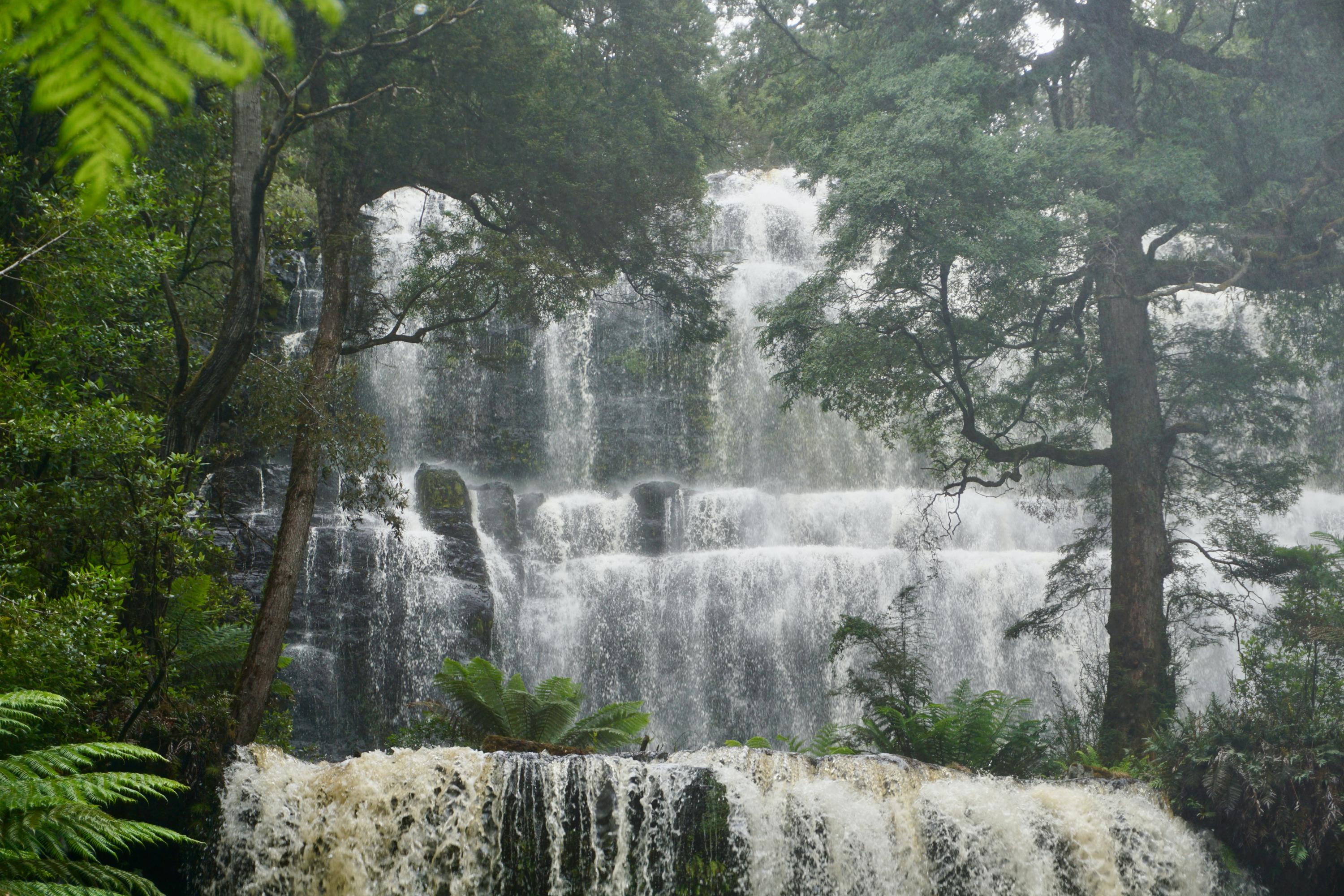 Tasmania