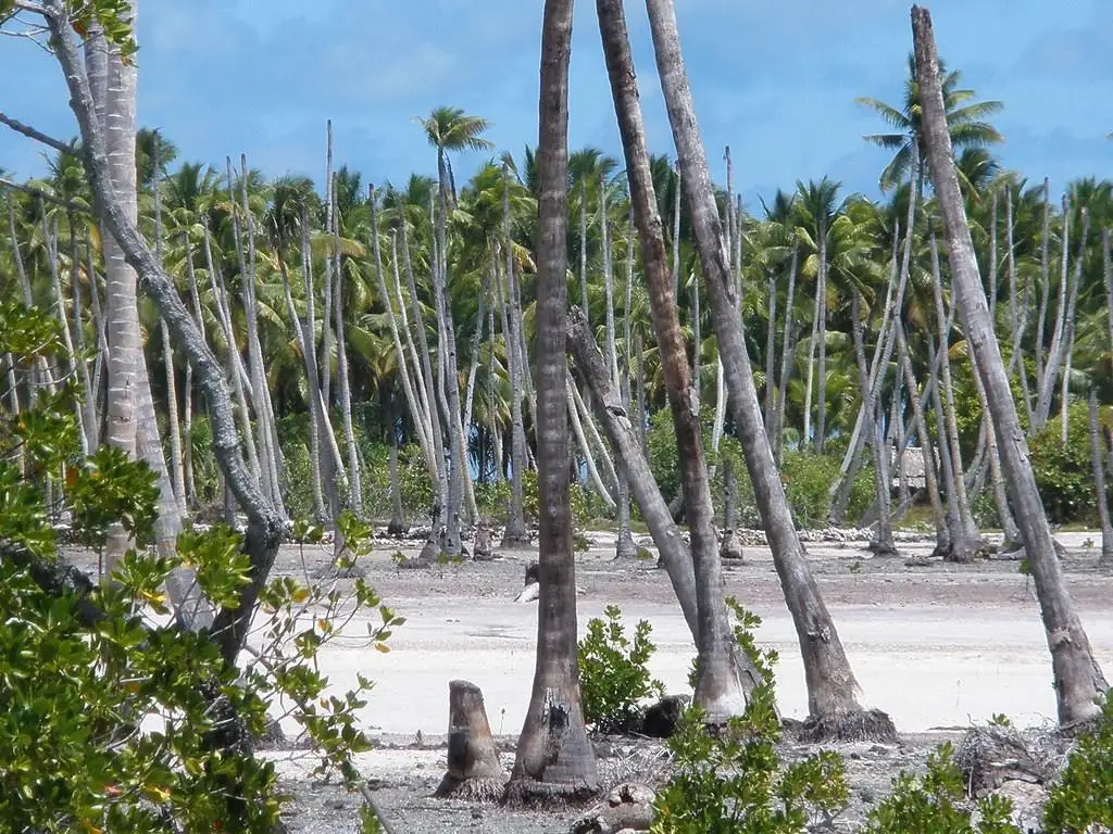 Kiribati 2009. Photo: AusAID bae9128d 70c2 4519 bd48 458804bc6035