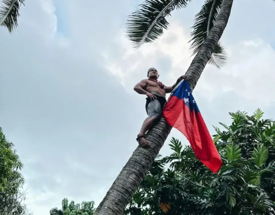 a man standing on top of a palm tree holding a flag