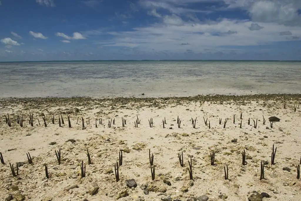 sland Nation of Kiribati Affected by Climate Change e415545e 1c39 4b42 a672 76e7aed863be 1