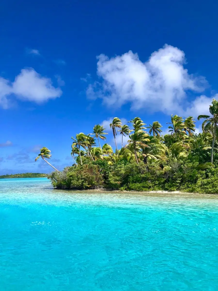 Photo by Yvette Goldberg green palm trees on beach under blue sky and white clouds during daytime