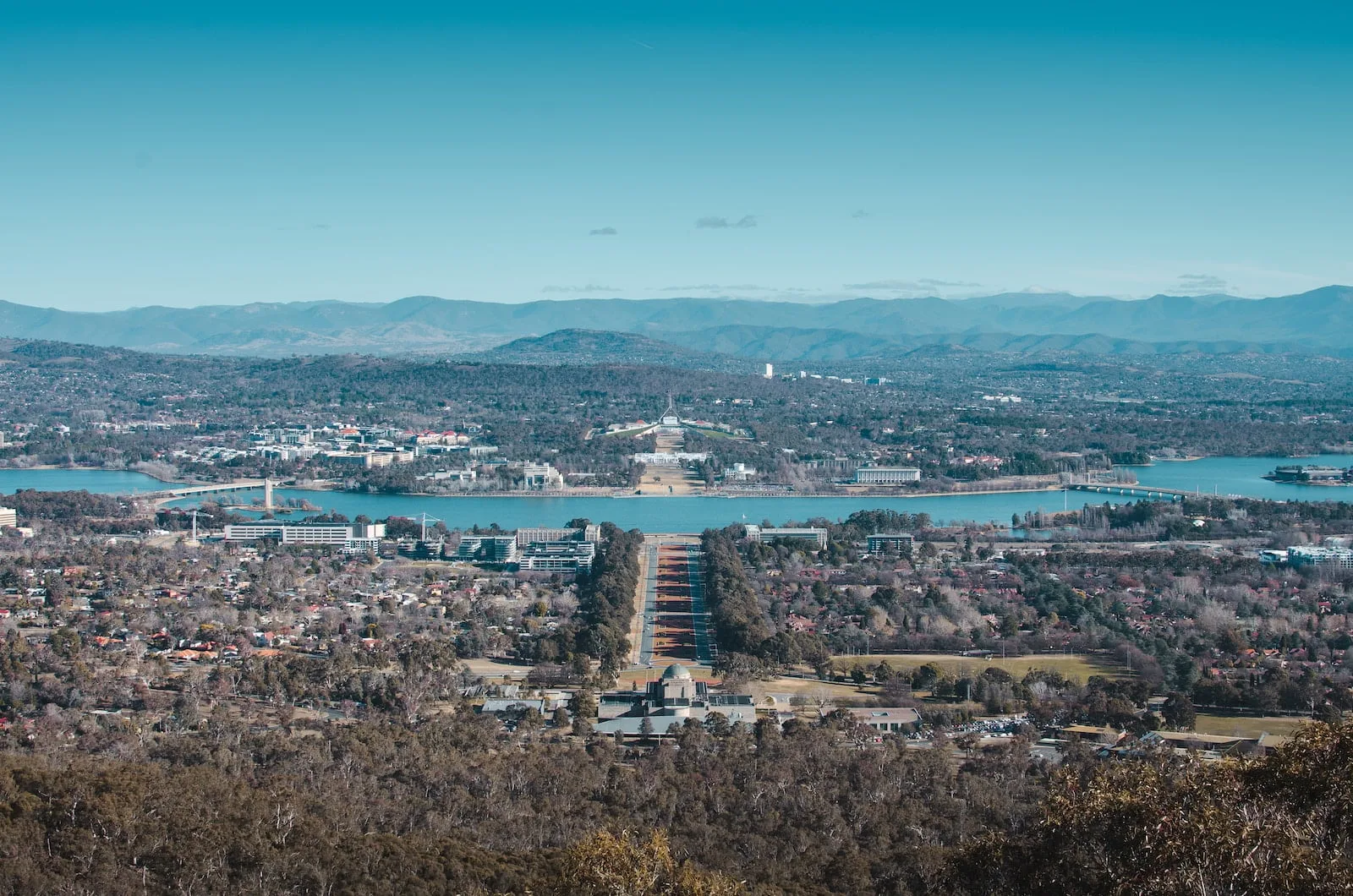 cityscape during daytime
