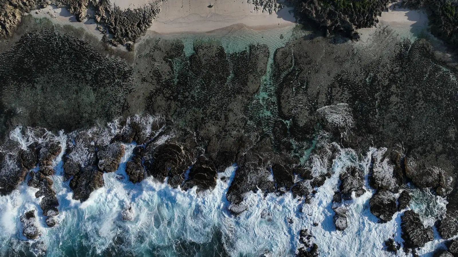Photo by Aleen Prasad a bird's eye view of a beach and ocean