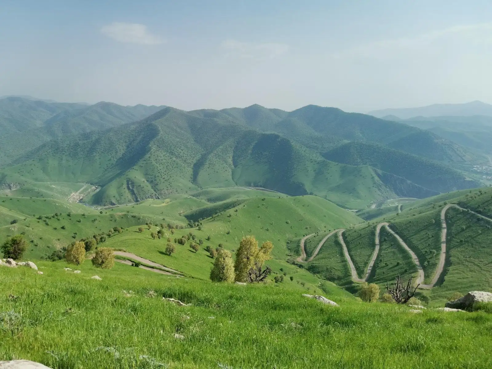 Photo by VECTOR Scenic View of a Mountain