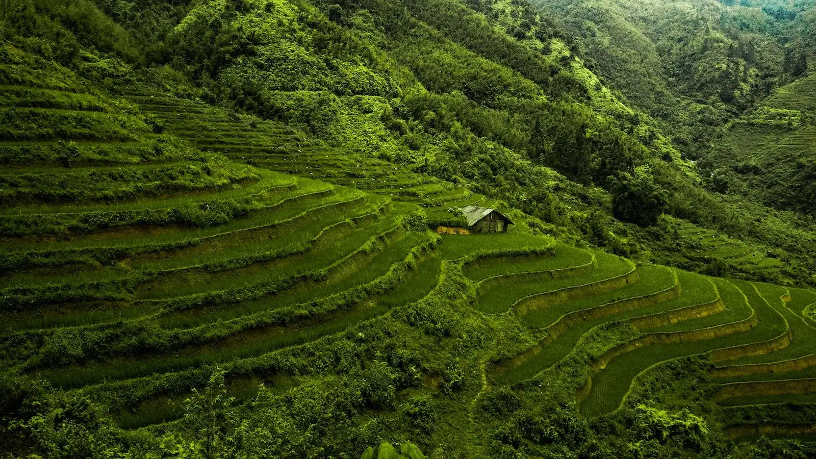 Photo by Ian Slater View of Terraces Carved Into the Mountains