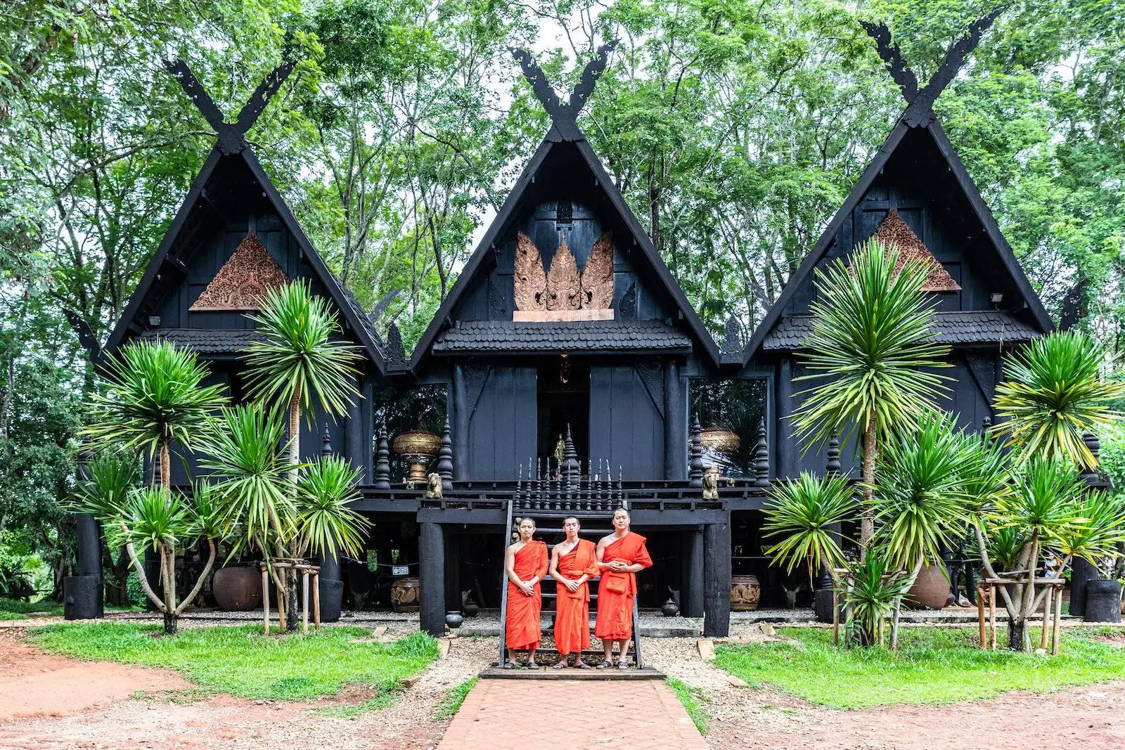 Photo by Andrew Jones Brown and Black House Near Green Palm Trees