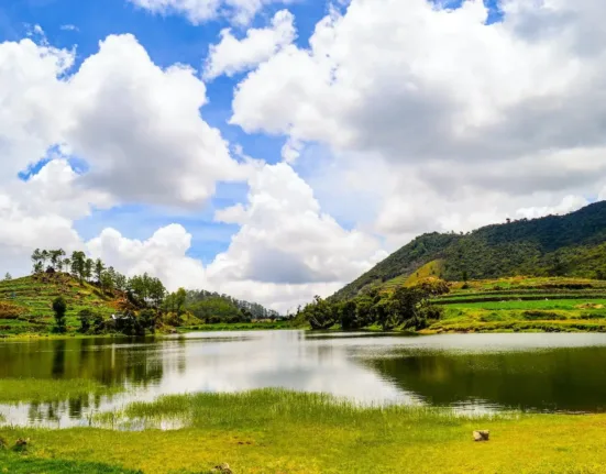 Landscape Photography of Lake