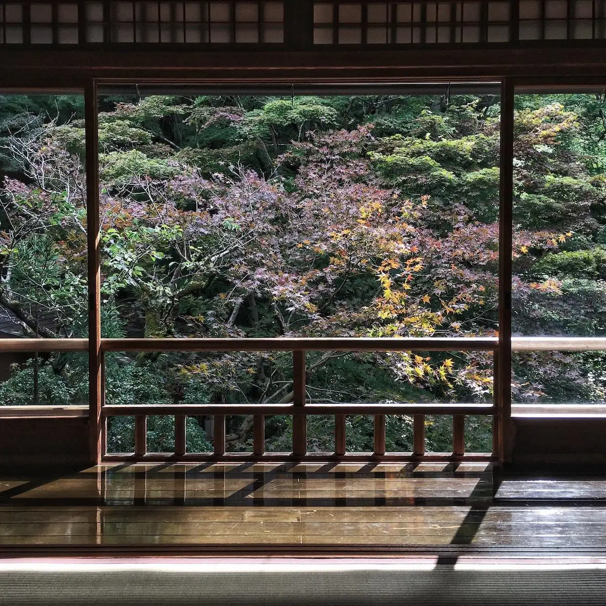 Photo by Nakaharu Line brown wooden framed glass window
