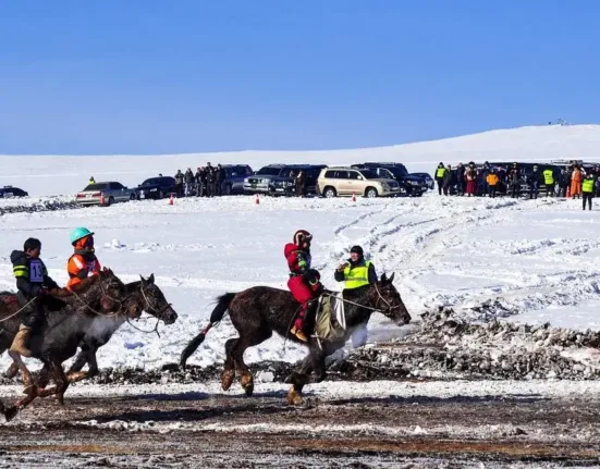 horse race, finish line, winter