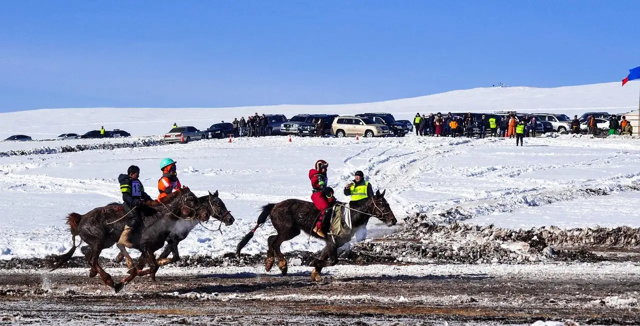 horse race, finish line, winter