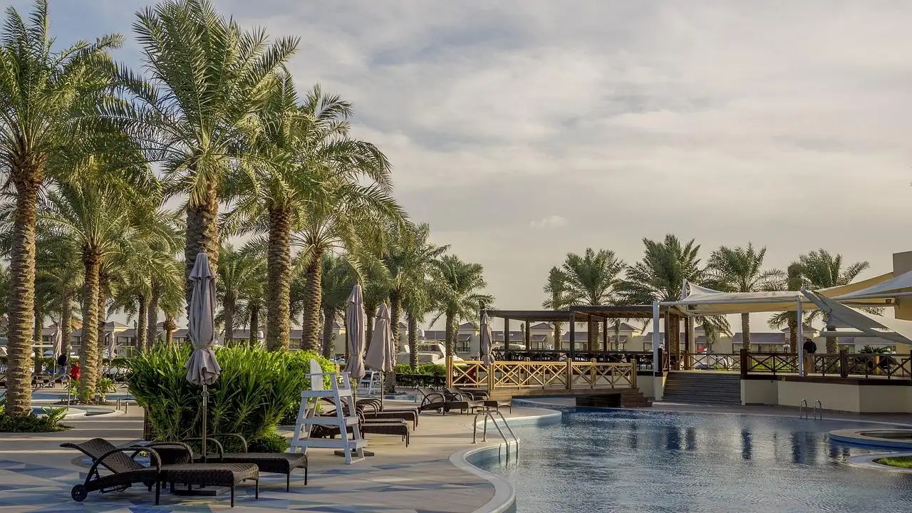 Photo by Nawalescape bahrain, palm, tree