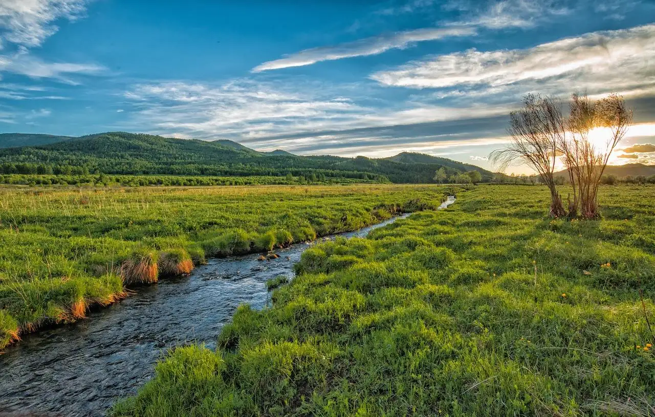 Photo by Kanenori sunset, stream, green meadow