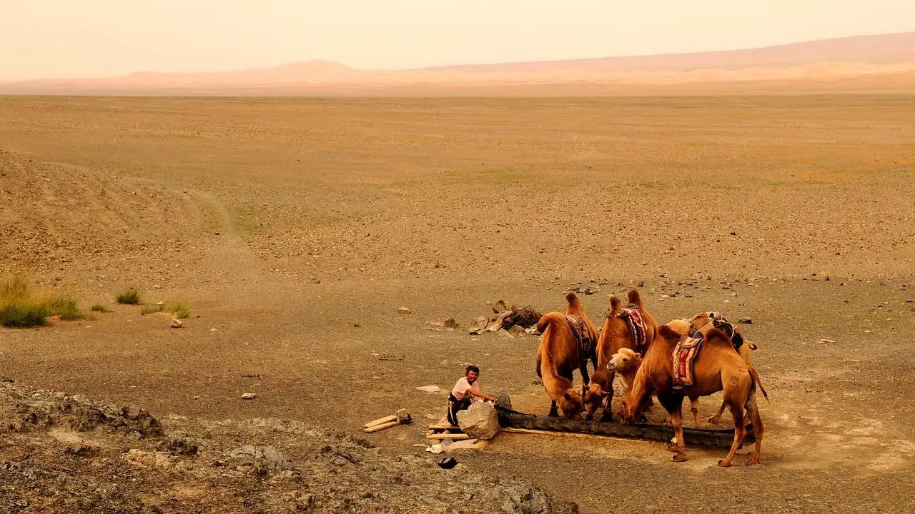 Photo by hbieser mongolia, sand, nature