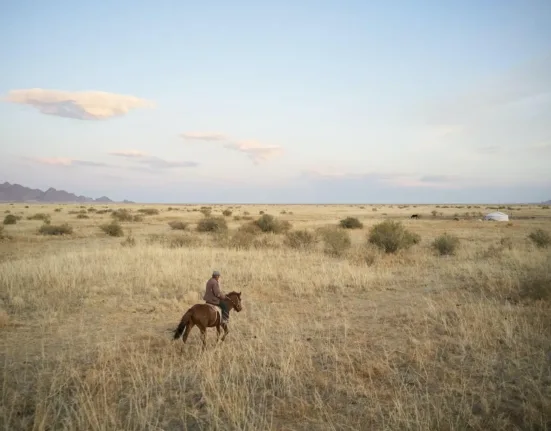Horse with unrecognisable cattleman in warm clothes riding in spacious field in daytime